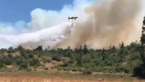 Decretan Alerta Amarilla para toda la Región del Biobío por incendios forestales