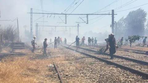 Onemi declara Alerta Amarilla para Ñuble producto de incendios forestales