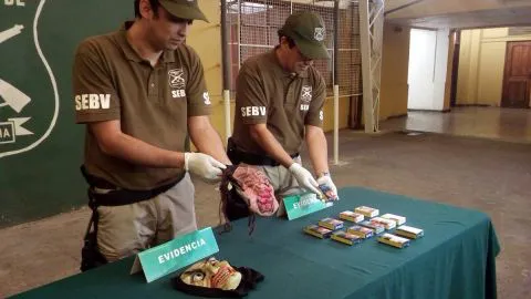 [VIDEO] Delincuentes juveniles armados cometieron violento robo en Coronel y no fueron enviados a prisión