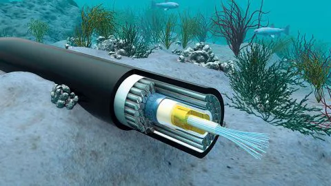 En 2019, Google construirá cable submarino entre Chile y EE.U.U