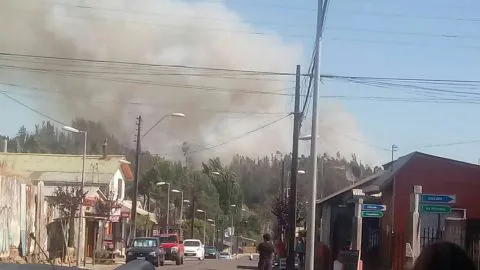 Asistentes a la Fiesta del Choclo retrasan el paso de unidades de emergencia a incendio forestal en Hualqui