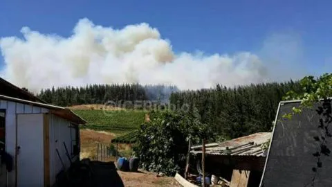 Portezuelo en Alerta Roja por incendio que ya consumió 40 hectáreas