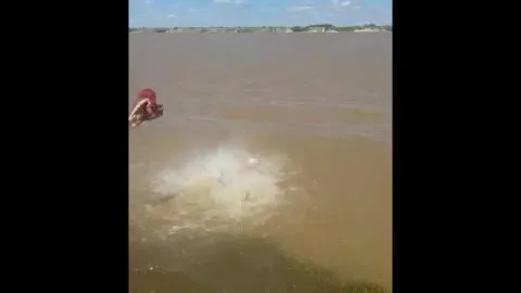 Peces devoran un trozo de carne en segundos