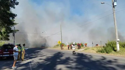 Decretan Alerta Amarilla para las provincias de Ñuble y Biobío por incendios forestales