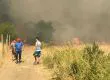 Onemi decreta Alerta Amarilla para las provincias del Biobío y Ñuble por incendios forestales
