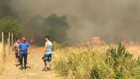 Onemi decreta Alerta Amarilla para las provincias del Biobío y Ñuble por incendios forestales