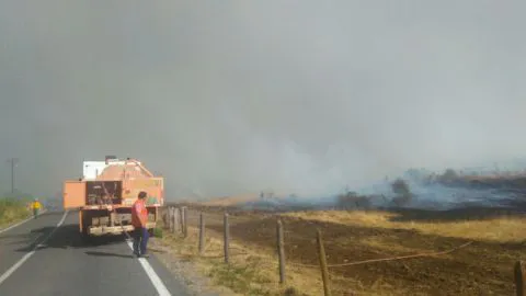 Incendio de Talcamávida en Hualqui activa Alerta Roja para la provincia de Concepción