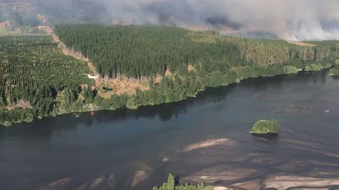 Más de 30 incendios forestales se registraron durante el fin de semana en la región