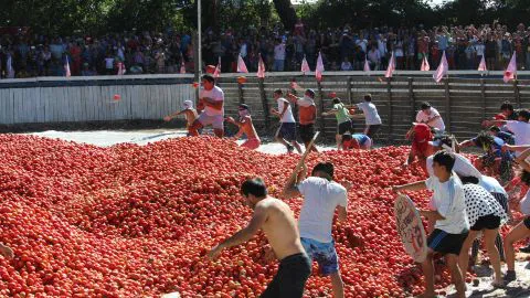 Se viene una nueva guerra del tomate en Quillón