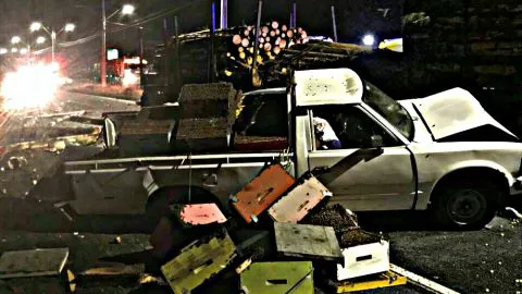 Colisión múltiple en ruta 160: abejas que llevaba camioneta picó a personal de emergencias