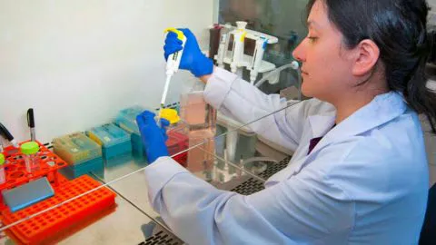 Microbióloga UdeC que descubrió vacuna contra el Hanta denuncia desinterés del Minsal por el medicamento