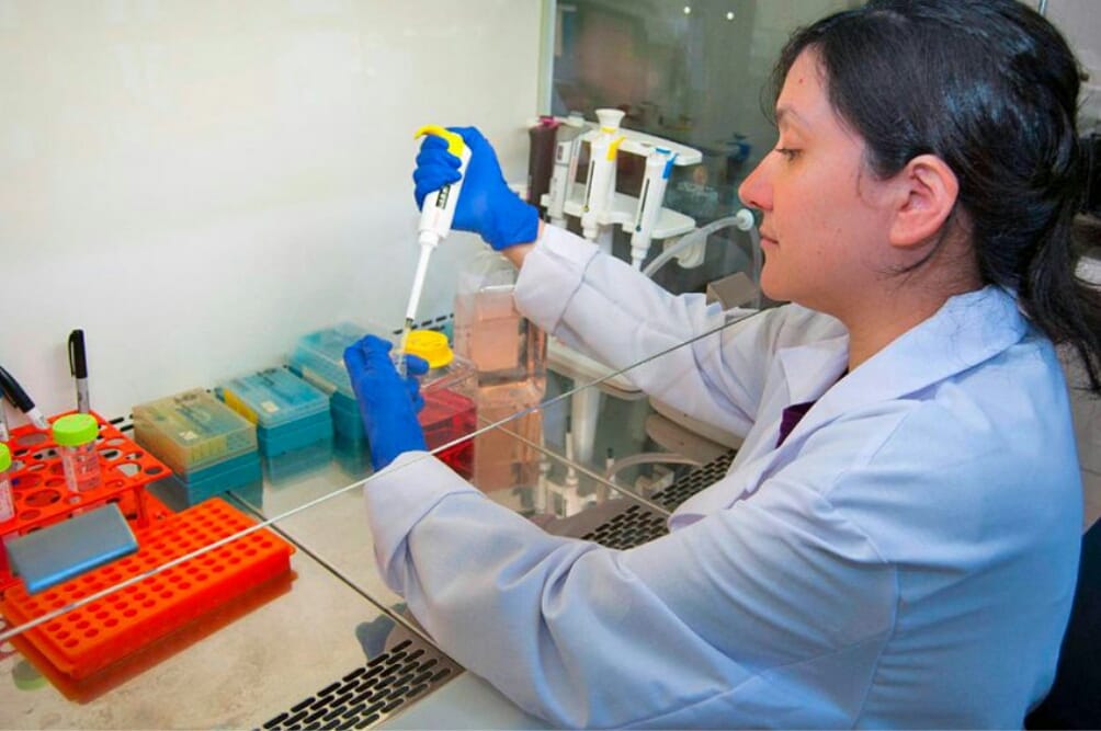 Virus letal: ¿Por qué todavía no aplican la vacuna contra el Hanta en personas?