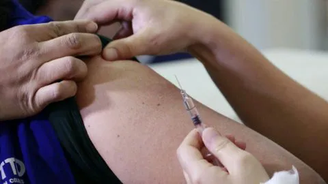 Fiebre Amarilla: Confirman primer caso sospechoso en Chile