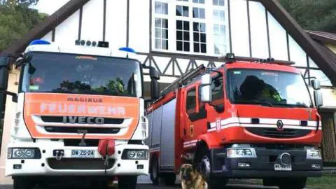 Desesperado llamado: buscan a perrito guardián de Bomberos en Concepción