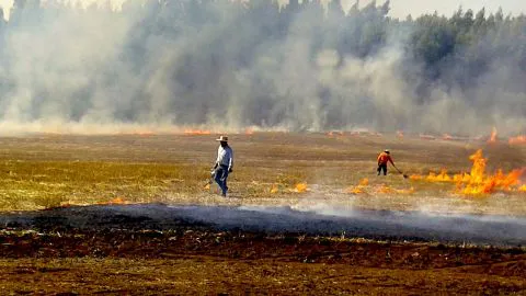 Llaman a agricultores a avisar fecha de quemas tras levantamiento de restricción en el Biobío