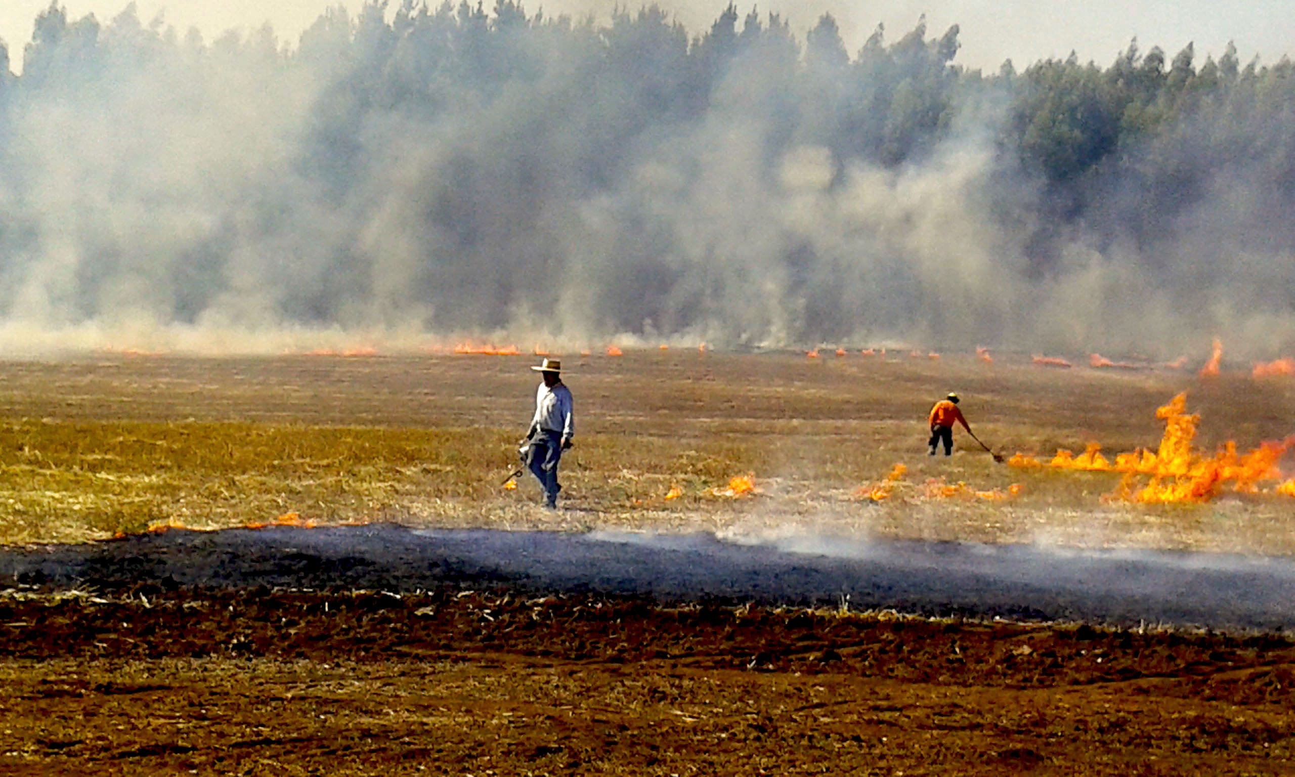 Prohíben quemas agrícolas y forestales en toda la Región del Biobío