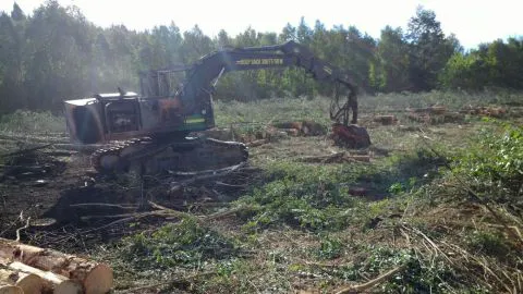 Ataque incendiario deja 5 maquinarias forestales quemadas en Mulchén