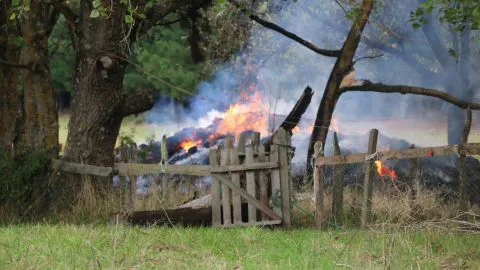 Nuevo ataque incendiario al sur de Arauco