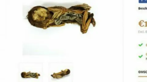 Arqueólogos indignados con museo holandés por venta de momia chilena vía internet