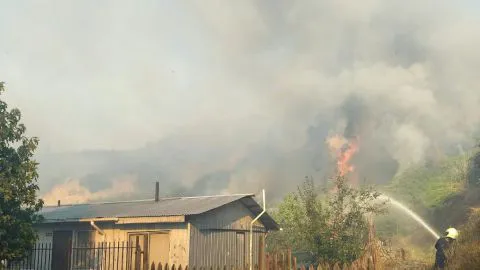 Intenso trabajo de Bomberos en incendio forestal que afecta a Coronel