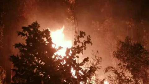 Incendio forestal desvela a vecinos de Florida
