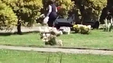 [VIDEO] Denuncian retiro y reventa de flores ya utilizadas en el Parque Cementerio San Pedro