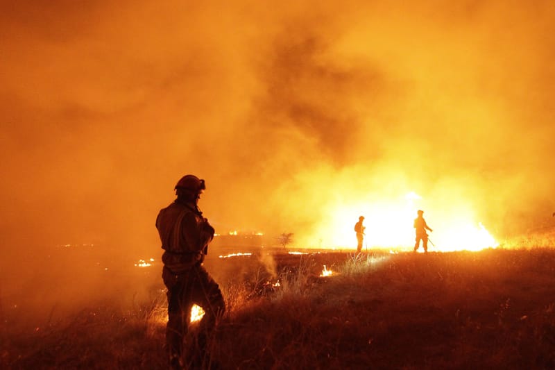 Incendios forestales en la región del Biobío ya han consumido 1.980 hectáreas 