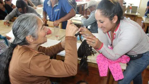 Novedoso proyecto busca repoblar con algas el sector Pueblo Hundido en Lota