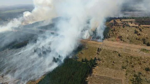 Positivo balance de Conaf ante ocurrencia de incendios forestales en la Región del Biobío