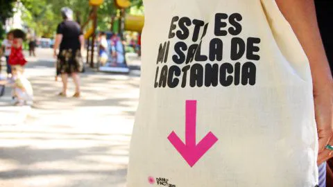 Solicitan poner urgencia al proyecto que consagra como Ley la lactancia Libre