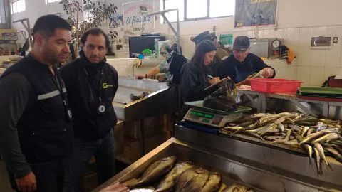 Fiscalización Semana Santa: Sernapesca incautó más de 8 toneladas de pescados y mariscos.