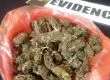 Detienen a sujeto que vendía marihuana en local de completos en Hualpén