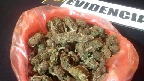 Detienen a sujeto que vendía marihuana en local de completos en Hualpén