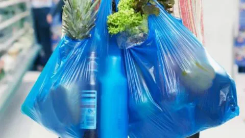 Gobierno prohibirá uso de bolsas plásticas en Chile
