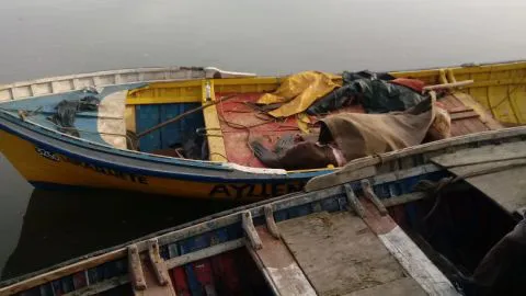 Encuentran in fraganti a dos pescadores faenando lobo marino en Laraquete