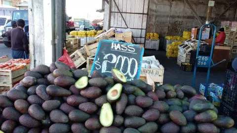 ¡Para no creerlo! Sepa dónde comprar las paltas más baratas en el Gran Concepción