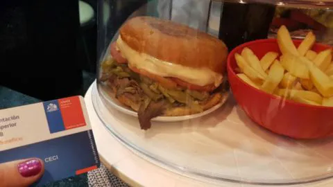 Adiós a la comida chatarra con la beca de alimentación Junaeb