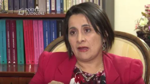 Héctor Arenas vs Carola Rivas: Corte admite queja de ex comisario contra ministra por Caso Matute
