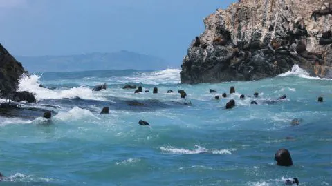 Buscan que Cobquecura sea declarada Zona de Interés Turístico