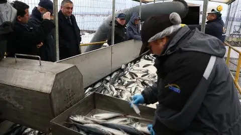 Conoce los preocupantes números sobre la pesca ilegal en la región del Biobío