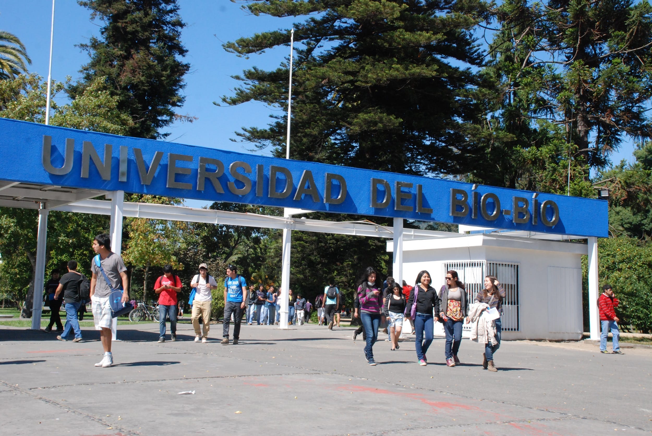Universidad del Biobío anunció que “no retornarán a actividades presenciales” tras anuncio del Gobierno
