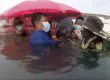 Muere ballena a causa de una plaga mundial: Plástico en los océanos