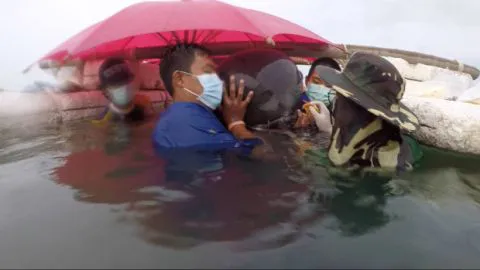 Muere ballena a causa de una plaga mundial: Plástico en los océanos