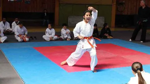 Concepción fue sede de Torneo Interregional de Artes Marciales