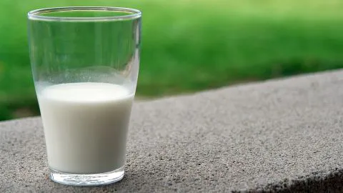 ¿De verdad? ¿Esta es la leche que se consume en Chile?