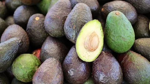 ¡Escándalo nacional! Se roban millones en palta