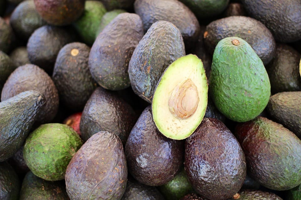 ¡Escándalo nacional! Se roban millones en palta