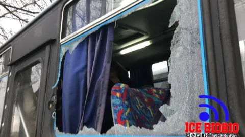 Rama de árbol se desprendió e impactó a una micro en la Autopista de Talcahuano a Concepción