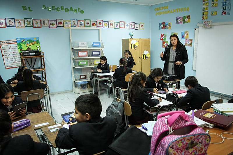 Profesores: Líderes todo el año