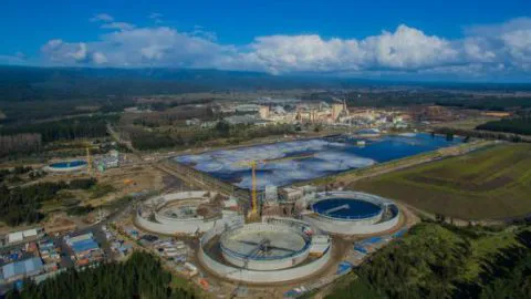 Empresas Arauco confirma el proyecto forestal más grande de la historia en la región